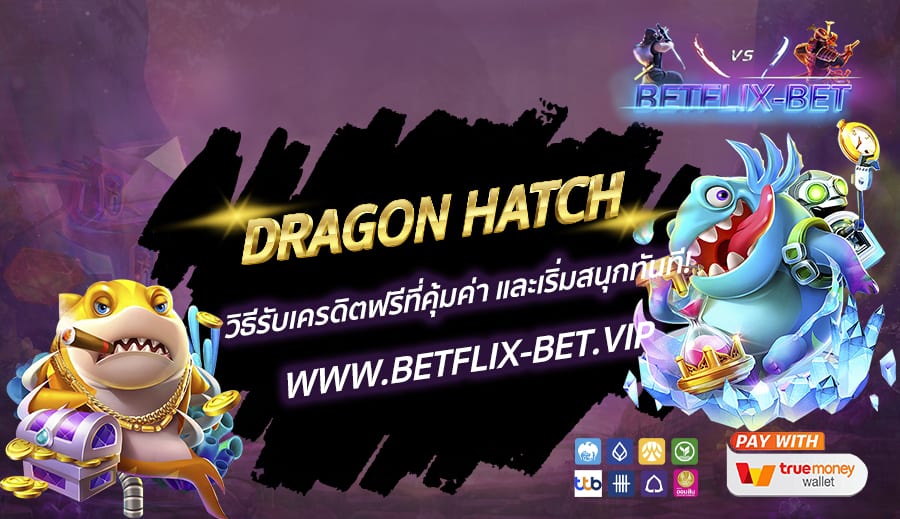 Dragon Hatch วิธีรับเครดิตฟรีที่คุ้มค่า และเริ่มสนุกทันที!